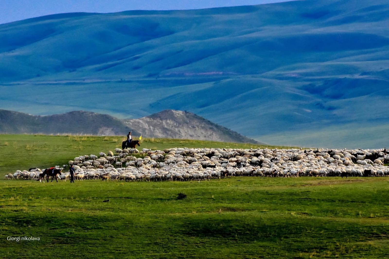 Georgia Travel